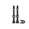 CUSHCORE Valve Tubeless Presta (paire)
